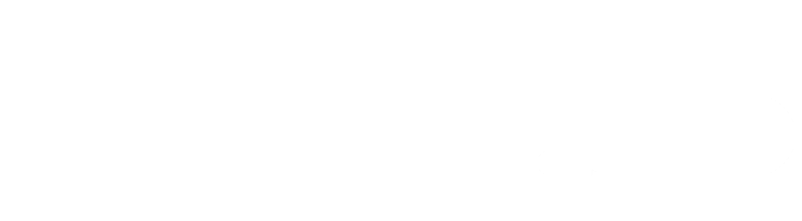 Amia.pro Logo